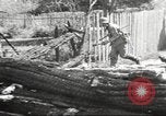 Immagine di Operazione Barbarossa Unione Sovietica, 1941, secondo 32 filmato di repertorio 65675065794