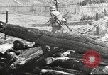 Immagine di Operazione Barbarossa Unione Sovietica, 1941, secondo 33 filmato di repertorio 65675065794