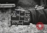 Image of Yalta Conference Crimea Ukraine, 1945, second 1 stock footage video 65675065812