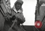 Image of Yalta Conference Crimea Ukraine, 1945, second 19 stock footage video 65675065813