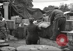 Image of Yalta Conference Crimea Ukraine, 1945, second 62 stock footage video 65675065815