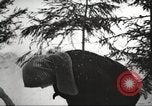 Immagine di Ivan Vasilevich Panfilov Unione Sovietica, 1943, secondo 28 filmato di repertorio 65675065827