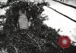 Immagine di Ivan Vasilevich Panfilov Unione Sovietica, 1943, secondo 46 filmato di repertorio 65675065827