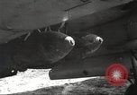 Immagine di Petlyakov sovietica Pe-2 bombardieri L'Ucraina, 1944, secondo 6 filmato di repertorio 65675065834