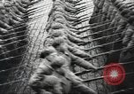 Image of Soviet troops Moscow Russia Soviet Union, 1935, second 11 stock footage video 65675065836