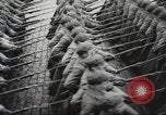 Image of Soviet troops Moscow Russia Soviet Union, 1935, second 12 stock footage video 65675065836