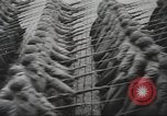 Image of Soviet troops Moscow Russia Soviet Union, 1935, second 30 stock footage video 65675065836
