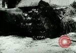 Image of Soviet troops Soviet Union, 1943, second 12 stock footage video 65675065845