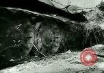 Image of Soviet troops Soviet Union, 1943, second 15 stock footage video 65675065845