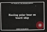 Image baleinier 'Océan Arctique, 1914, de la seconde 4 séquences d'archives historiques vidéo 65675065850