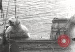 Image baleinier 'Océan Arctique, 1914, de la seconde 7 séquences d'archives historiques vidéo 65675065850