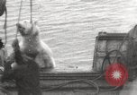 Image baleinier 'Océan Arctique, 1914, de la seconde 9 séquences d'archives historiques vidéo 65675065850
