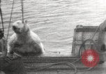 Image baleinier 'Océan Arctique, 1914, de la seconde 10 séquences d'archives historiques vidéo 65675065850