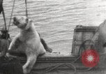 Image baleinier 'Océan Arctique, 1914, de la seconde 13 séquences d'archives historiques vidéo 65675065850