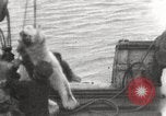 Image baleinier 'Océan Arctique, 1914, de la seconde 14 séquences d'archives historiques vidéo 65675065850