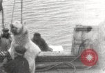 Image baleinier 'Océan Arctique, 1914, de la seconde 15 séquences d'archives historiques vidéo 65675065850