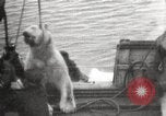 Image baleinier 'Océan Arctique, 1914, de la seconde 16 séquences d'archives historiques vidéo 65675065850