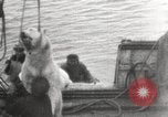 Image baleinier 'Océan Arctique, 1914, de la seconde 18 séquences d'archives historiques vidéo 65675065850