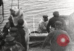 Image baleinier 'Océan Arctique, 1914, de la seconde 20 séquences d'archives historiques vidéo 65675065850