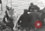 Image baleinier 'Océan Arctique, 1914, de la seconde 21 séquences d'archives historiques vidéo 65675065850