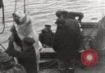 Image baleinier 'Océan Arctique, 1914, de la seconde 22 séquences d'archives historiques vidéo 65675065850