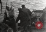 Image baleinier 'Océan Arctique, 1914, de la seconde 23 séquences d'archives historiques vidéo 65675065850