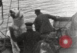 Image baleinier 'Océan Arctique, 1914, de la seconde 25 séquences d'archives historiques vidéo 65675065850