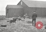 Image Harbour l'île Herschel Canada, 1914, de la seconde 57 séquences d'archives historiques vidéo 65675065851