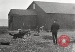Image Harbour l'île Herschel Canada, 1914, de la seconde 62 séquences d'archives historiques vidéo 65675065851