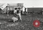 Image oursons polaires l'île Banks Canada, 1914, de la seconde 16 séquences d'archives historiques vidéo 65675065853
