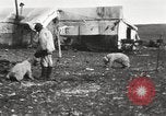 Image oursons polaires l'île Banks Canada, 1914, de la seconde 27 séquences d'archives historiques vidéo 65675065853