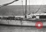 Image des épaves de navires Canada, 1914, de la seconde 23 séquences d'archives historiques vidéo 65675065854