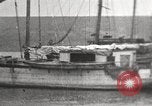 Image des épaves de navires Canada, 1914, de la seconde 26 séquences d'archives historiques vidéo 65675065854