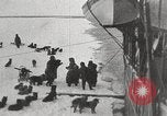 Image le capitaine Bartlett rejoint le capitaine Pedersen à bord du baleinier Herman Sibérie Russie, 1914, de la seconde 40 séquences d'archives historiques vidéo 65675065855