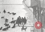 Image le capitaine Bartlett rejoint le capitaine Pedersen à bord du baleinier Herman Sibérie Russie, 1914, de la seconde 56 séquences d'archives historiques vidéo 65675065855