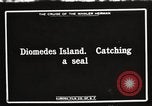 Image attraper le joint Diomedes Islands Alaska USA, 1914, de la seconde 1 séquences d'archives historiques vidéo 65675065856