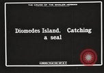 Image attraper le joint Diomedes Islands Alaska USA, 1914, de la seconde 5 séquences d'archives historiques vidéo 65675065856