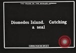 Image attraper le joint Diomedes Islands Alaska USA, 1914, de la seconde 6 séquences d'archives historiques vidéo 65675065856