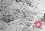 Image attraper le joint Diomedes Islands Alaska USA, 1914, de la seconde 7 séquences d'archives historiques vidéo 65675065856