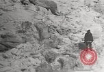 Image attraper le joint Diomedes Islands Alaska USA, 1914, de la seconde 8 séquences d'archives historiques vidéo 65675065856