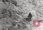 Image attraper le joint Diomedes Islands Alaska USA, 1914, de la seconde 9 séquences d'archives historiques vidéo 65675065856