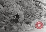 Image attraper le joint Diomedes Islands Alaska USA, 1914, de la seconde 11 séquences d'archives historiques vidéo 65675065856