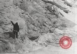 Image attraper le joint Diomedes Islands Alaska USA, 1914, de la seconde 12 séquences d'archives historiques vidéo 65675065856