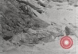 Image attraper le joint Diomedes Islands Alaska USA, 1914, de la seconde 14 séquences d'archives historiques vidéo 65675065856