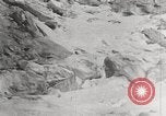 Image attraper le joint Diomedes Islands Alaska USA, 1914, de la seconde 15 séquences d'archives historiques vidéo 65675065856