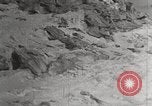 Image attraper le joint Diomedes Islands Alaska USA, 1914, de la seconde 18 séquences d'archives historiques vidéo 65675065856