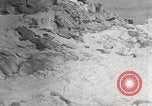 Image attraper le joint Diomedes Islands Alaska USA, 1914, de la seconde 19 séquences d'archives historiques vidéo 65675065856