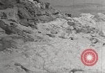 Image attraper le joint Diomedes Islands Alaska USA, 1914, de la seconde 20 séquences d'archives historiques vidéo 65675065856