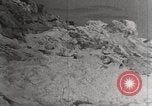 Image attraper le joint Diomedes Islands Alaska USA, 1914, de la seconde 21 séquences d'archives historiques vidéo 65675065856