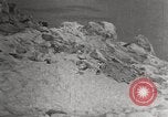 Image attraper le joint Diomedes Islands Alaska USA, 1914, de la seconde 22 séquences d'archives historiques vidéo 65675065856